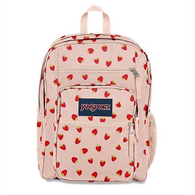 Rucsac Laptop JanSport BIG STUDENT Roz | RO_JS058