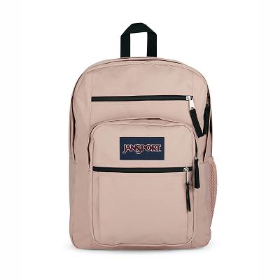 Rucsac Laptop JanSport BIG STUDENT Roz | RO_JS148