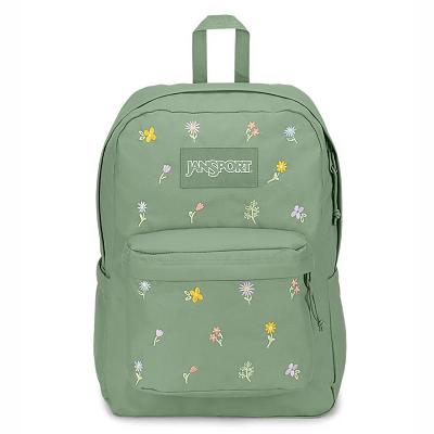 Rucsac Laptop JanSport SuperBreak® Plus Verzi | RO_JS432