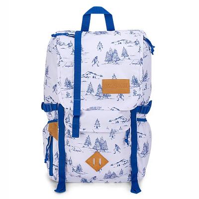Rucsac Voiaj JanSport Hatchet Albi Albastri | RO_JS112